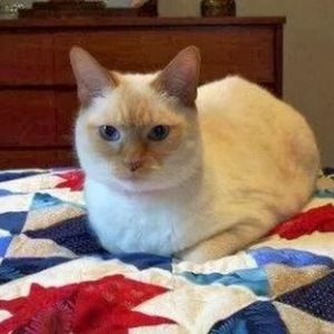 Meet your Posher, Cary